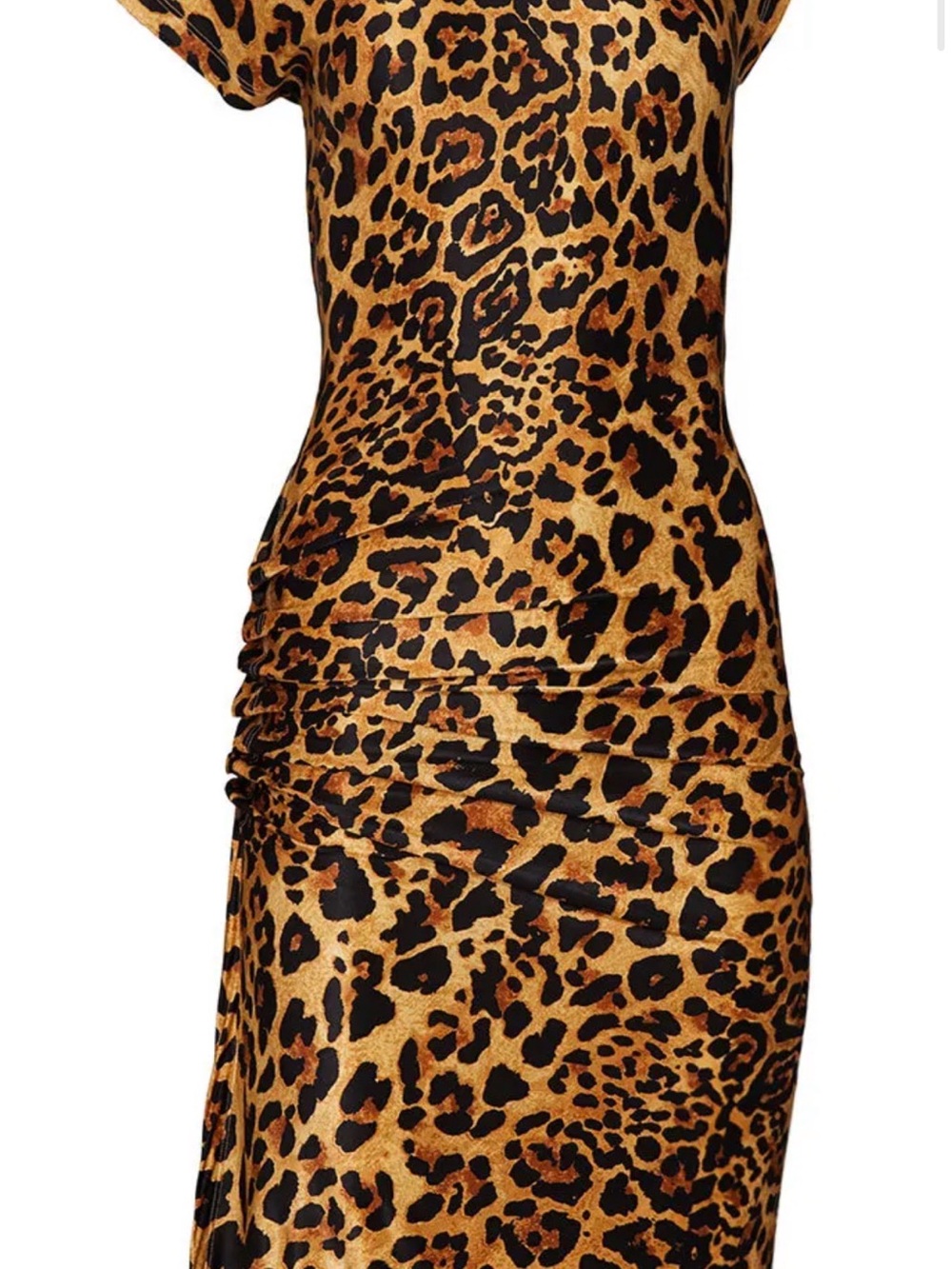 Paco Rabanne Leopard Print Cap Sleeve Midi Dress in Tan and Black - Picture 7 of 7